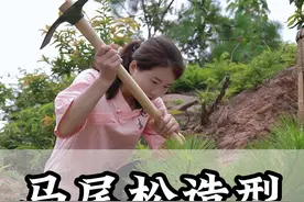 马尾松造型 分享普通的马尾松如何变成盆景#马尾松 #盆景 #盆景制作视频封面