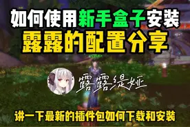 【露露】2分钟用新手盒子安装露露的插件包教程视频封面