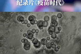 2023年，疫情防控进入新阶段，几乎所有国家都陆续开放了大门，一切似乎恢复如初。下一次病毒侵袭人类会是什么时候？无人知晓。但是，新冠疫情大流行的经验告诉我们，人类必须做好准备。#疫苗时代
