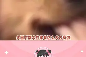 叽里咕噜说啥呢，费启鸣要不你跟我回家，要不我住进你家，你选吧#费启鸣的衣服被他养的很好