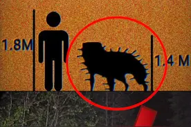 【都市传说】切尔诺贝利犬，核辐射变异生物真的存在吗？视频封面