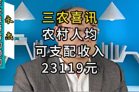三农喜讯：农村人均可支配收入23119元 #热点 #真实事件视频封面
