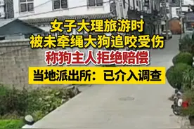 10月21日，一女子发视频称在云南大理旅行时，被未牵绳大狗咬伤，称住院20多天仍未痊愈，狗主人拒赔医药费。当地派出所：正在进一步处理。视频封面