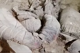【兵马俑二号坑首次发现“将军俑”】一个多月前，考古人员首次在兵马俑二号坑发现一尊较少见的高级军吏俑，可能是二号坑弩兵单元的最高指挥官。视频封面