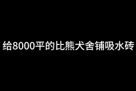 小比熊的游乐园开始改造啦，占地8000平 我们慢慢来～#比熊 #犬舍视频封面