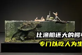 模型制作：世界上最大的鳄龟，把人类当零食，你们肯定没见过！视频封面