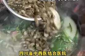 3月26日（发布），四川。小蝌蚪酸汤，你吃过吗?医生：并不推荐食用，蝌蚪可能携带致病微生物。关注👉@小政视频 #四川dou知道 #抖音小助手  #小蝌蚪酸汤 #食用小蝌蚪 （来源：@四川观察）视频封面