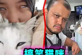 爆笑解说：这猫长得也太像主人了吧！ #爆笑 #解说 #猫咪 #沙雕视频封面
