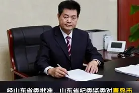 青岛市政协原党组成员、副主席杨锡祥严重违纪违法被开除党籍 #打虎拍蝇视频封面