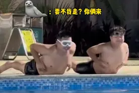 5月5日，海南，“但凡少一两肉都没这效果”，海豹队员模仿海豹拍打肚皮，太魔性了，海豹：完了，有人来抢饭碗了 #海豹   #动物的迷惑行为   #搞笑视频封面