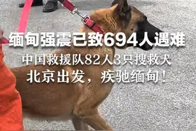 缅甸强震已致694人遇难 中国救援队82人3只搜救犬  北京出发，疾驰缅甸！视频封面