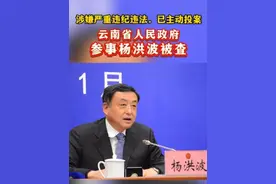 云南省人民政府参事杨洪波接受纪律审查和监察调查#审查调查视频封面