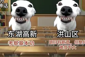 武汉热门学区2025年元调试卷难度评析 （非严肃版但可信视频封面