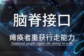 脑脊接口，瘫痪者重获行走能力 脑脊接口开启了人体2.0时代，复旦大学加福民团队，用“三合一”脑脊接口技术，在脑与未损伤脊椎间架起“神经桥”，让患者可以通过自己的意图来控制肢体#脑脊接口 #科技改变生活 #生命科学 #科技 #脑机接口视频封面