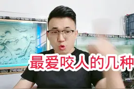 几种最爱咬人的狗，看见的话赶紧绕道视频封面