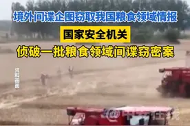 境外间谍企图窃取我国粮食领域情报，国家安全机关侦破一批粮食领域间谍窃密案#国安部 #粮食安全视频封面