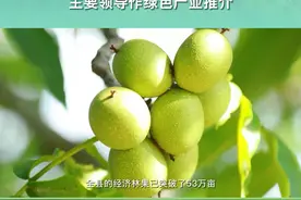 楚雄州绿色产业推介会--永仁县人民政府主要领导作绿色产业推介 #楚雄 #绿色产业 #推介会 视频封面