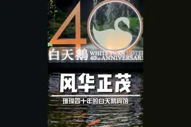 白天鹅宾馆能璀璨四十年不是没有原因的，你喜欢白天鹅的哪一点？#广州 #白天鹅宾馆 #酒店 #武宁亚视频封面