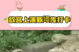 故宫上演甄嬛传打卡 #甄嬛传 #甄嬛传十级观众 #娱乐评论大赏视频封面