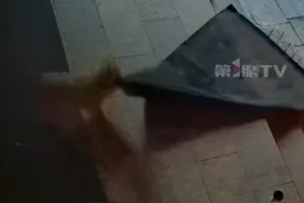 女子经常投喂隔壁家小狗，#小狗半夜拖别人家地垫来报恩 ，当事人：我们好几个人找了好久，才找到地垫的主人！视频封面