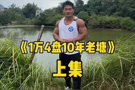花14000包下一口十年老塘，据说有1吨鱼，看看这次能赚还是亏？#鱼塘 #户外捕鱼 #日常vlog #李维刚视频封面