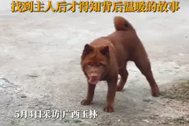 5月4日采访，广西玉林。女子在路边遇到只摇头晃脑小狗，一招一式憨态可掬，找到主人后才得知背后温暖的故事……视频封面