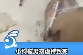 小狗被男孩虐待致死，用鞭炮炸多次摔打。 #社会新闻视频封面