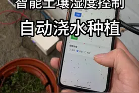 物联网远程智能控制的成本到底能有多低？ 自制了一套物联网远程智能控制给植物浇水的设备，没想到价值百万的设备成本居然这么低？#科技  #单片机 #手工 #村里的阿彪视频封面