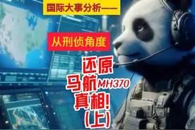 军事博主从刑侦角度分析马航MH370真相——魔鬼是谁（上）