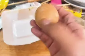 看到一条有意思的评论，说杆菌哥是在大自然算分解者，给我整笑了，这次真分解不了了。
#猎奇 #杆菌哥 #美食测评 #100个关于她的故事视频封面