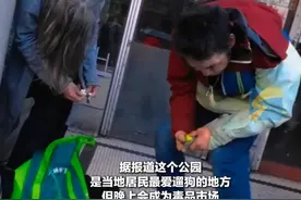 2月19日，美国旧金山一公园晚上变成毒品市场，吸毒者们如同“僵尸”摇晃的画面曝光。视频中吸毒者们无法保持站立，甚至躺在街边倒地不起。据报道这个公园是当地居民最爱遛狗的地方，但晚上会成为毒品市场。#美国 #毒瘾发作视频封面