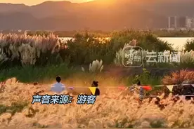 这个冬天快来昆明“避寒”吧！已经有人开始赏花，喂海鸥了，游客：来这里才是享受到真正的生活呀！#有一种叫云南的生活 #美好生活在云南 #七彩云南样样好视频封面