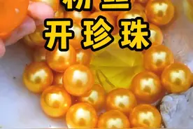 替粉丝捡河蚌，没想到遇到了金色的河蚌 #河蚌开珍珠 #三农 #大自然的馈赠视频封面