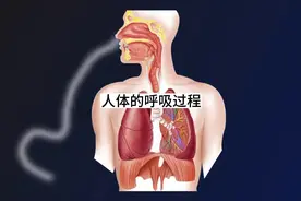 呼吸，一个神奇而又复杂的工程，你知道自己的身体是如何呼吸的吗视频封面