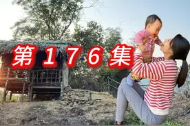 单亲妈妈莹莹稻田中捕鱼 #越南女孩 #单亲妈妈 #乡村生活视频封面
