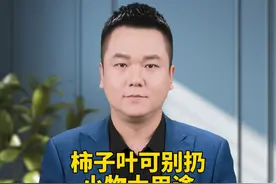老一辈就在用的天然亲肤品，记得要冰箱保存 #柿子叶的妙用 #纯天然无添加  #养肤视频封面