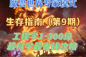 【魔兽世界硬核服】工程学1-300级攻略 最科学最省钱的冲级线路视频封面