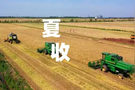 5月3日，当阳市草埠湖镇4台大型联合收割机摆开阵势视频封面