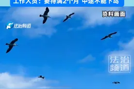 浙江舟山招募13名海鸟监测员，日薪300元住无人海岛，定期配送食物。工作人员：要待满2个月，中途不能下岛视频封面