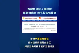 西藏自治区人民政府 院党组成员秘书长朱强被查 #你好我的城视频封面