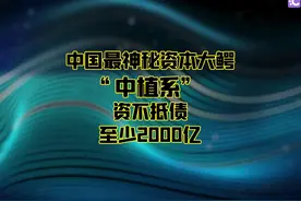 抛弃幻想！“中植系”前景昏暗，债务人将面临2600亿损失！#外汇视频封面