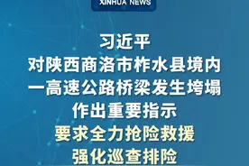 新华社消息｜习近平对陕西商洛市柞水县境内一高速公路桥梁发生垮塌作出重要指示 要求全力抢险救援　强化巡查排险 切实保障人民群众生命财产安全视频封面
