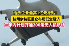 给予企业最高1亿元补贴，杭州余杭区“重仓”布局低空经济。#经济大省挑大梁 #寻找浙江新质生产力视频封面