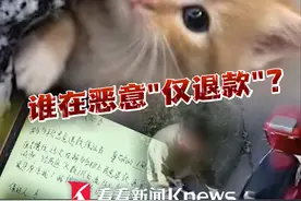 “同学说可以，平台也支持” #小学生220元网购宠物猫以“没收到货”为由成功申请“仅退款”  卖家驱车300公里讨说法，发现“猫被养得特别好” #仅退款