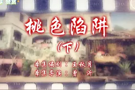 七十二家房客 桃色陷阱（下） #七十二家房电视剧 #好剧推荐视频封面