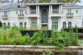 罚你年少有为住大别野，认罚评论区留言我叫你一声董事长 #壹亿豪宅 #亿哥 #世茂佘山庄园 #庄园 #别墅