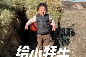 今天又卖了3头公牛，帮小牦牛们搬暖棚 #vlog日常 #记录真实生活 #农村生活视频封面