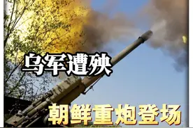 压力给到乌军，朝鲜谷山大炮抵达红利曼前线，释放火海乌军遭殃视频封面