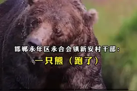 #官方证实邯郸一动物园有熊出逃 ，目前已暂时闭园，当地回应：昨日出逃，正全力搜寻，暂无群众因此事受伤，#目前不清楚这头熊大致的逃跑范围和方向视频封面