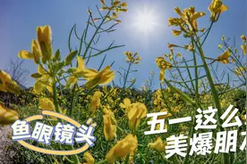 #假期出游拍照攻略# 【用鱼眼镜头拍出奇妙大片视频封面
